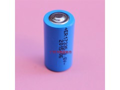 力维星ER17335锂氩电池，3.6V工业装中性电池