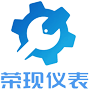 山东荣现仪表科技有限公司