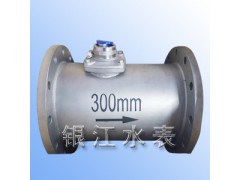 DN-300不锈钢水表