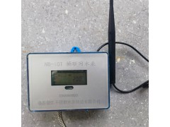 NB-10T物联网水表