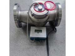 NB-10T物联网水表